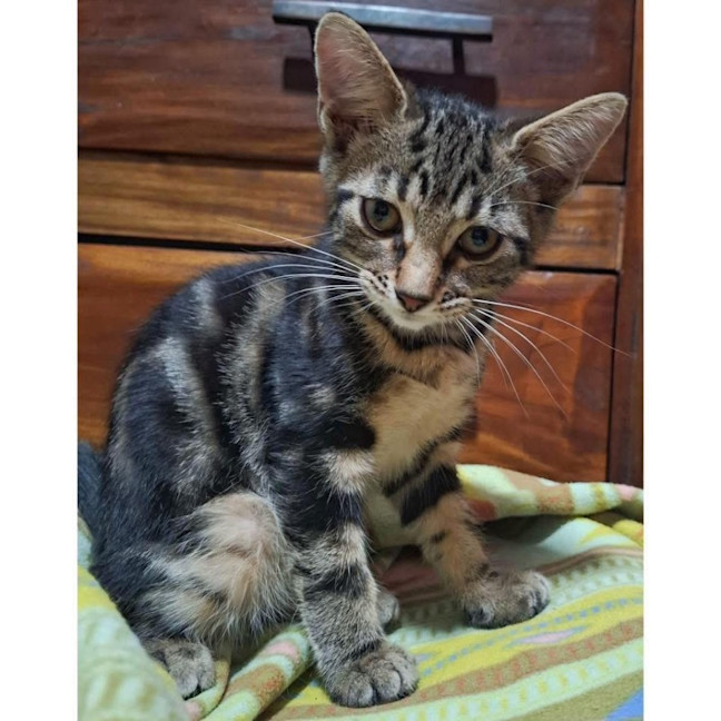 Photo of 12180   Tina