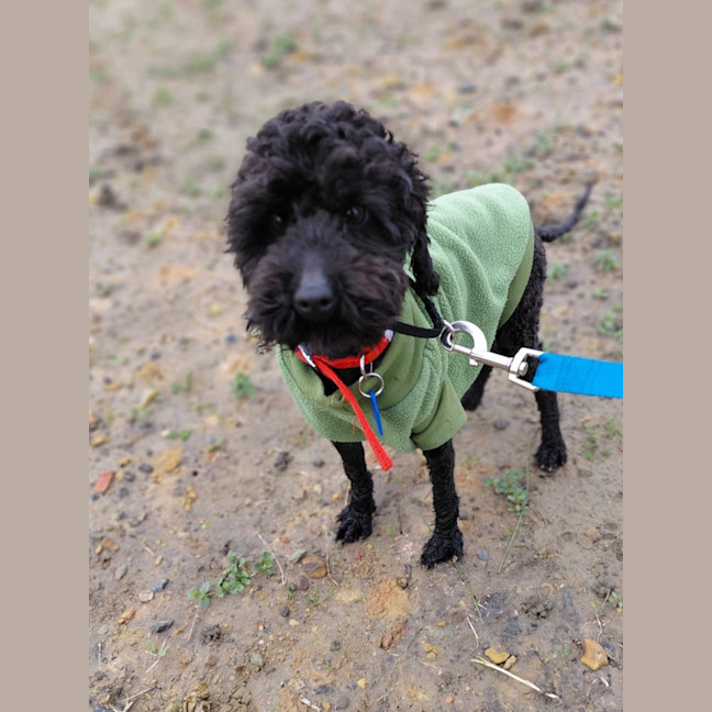 Photo of Benny