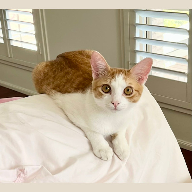 Photo of Matilda
