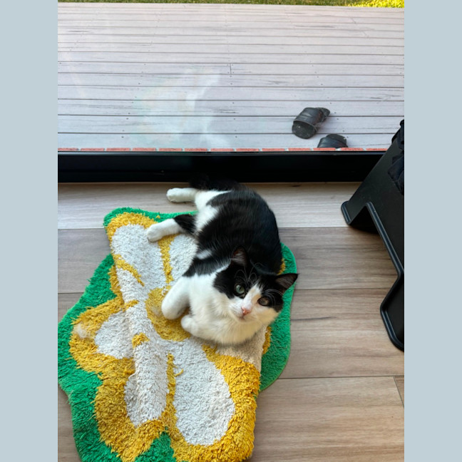 Photo of Esme