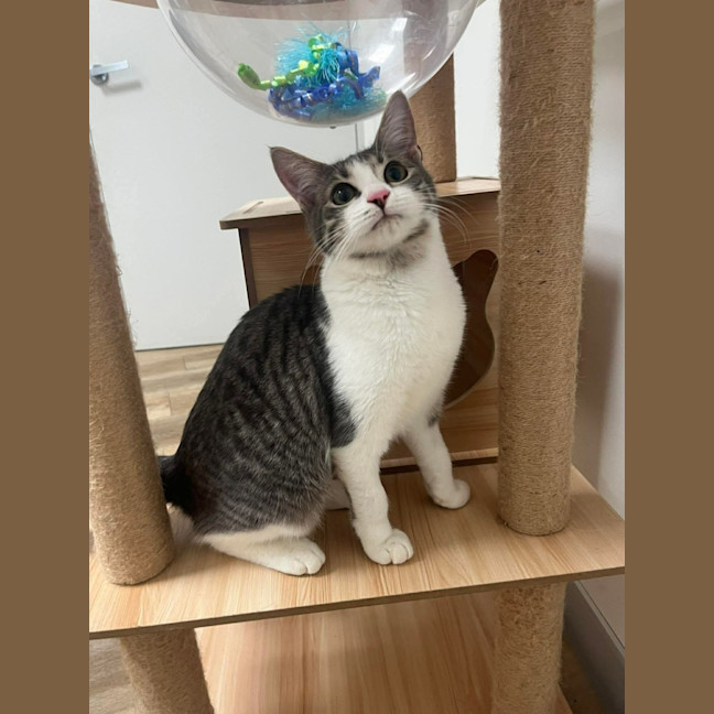 Photo of Xena