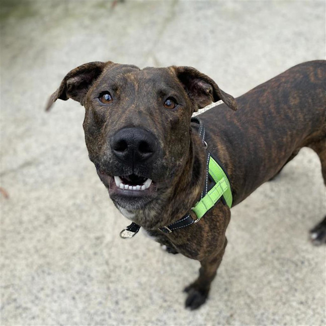 Photo of Starsky (Now Called Narloo)