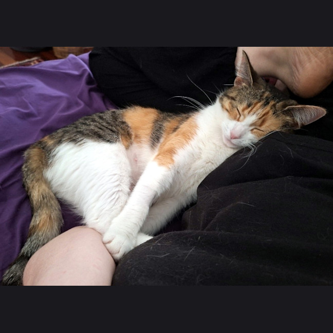 Photo of Samantha Sta014309