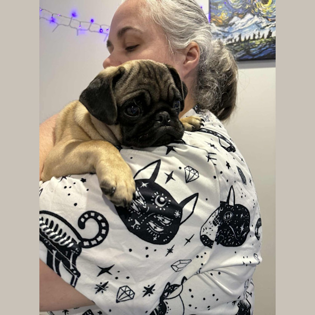 Photo of Rocco 