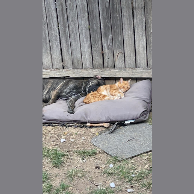 Photo of Whisky 🥃