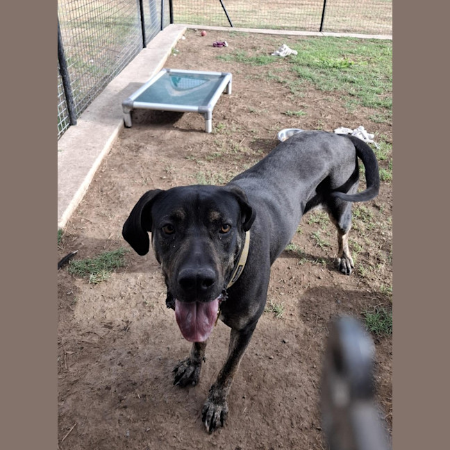 Photo of Kaizer