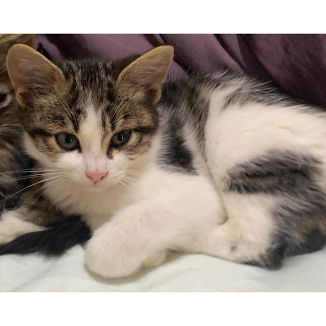 Photo of 12351   Sally