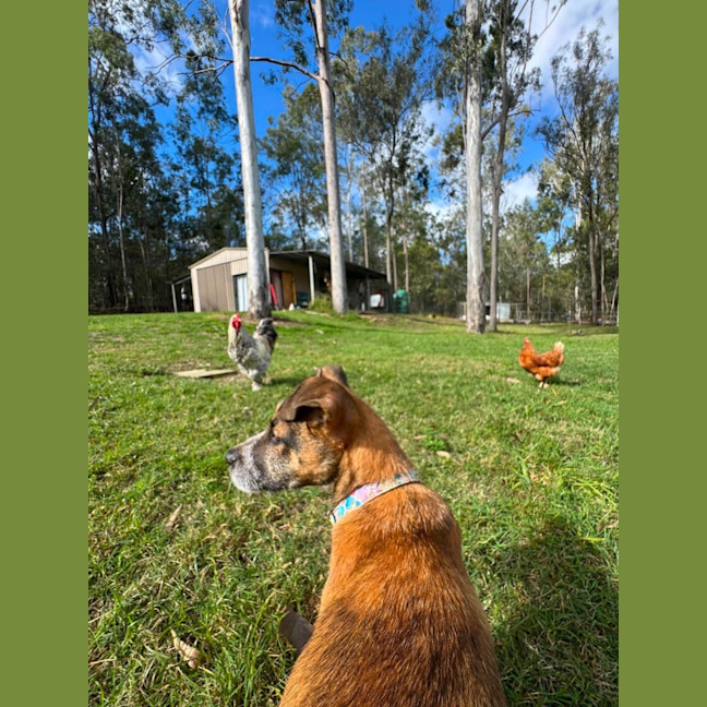 Photo of Ernie