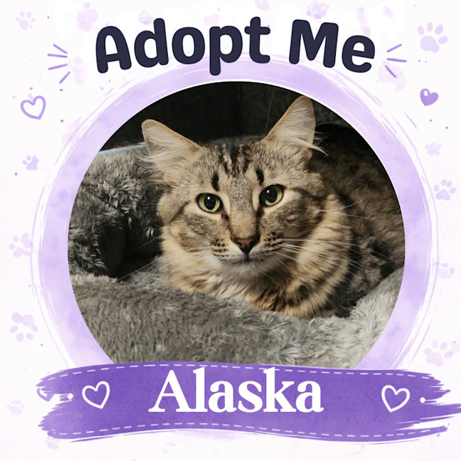 Photo of Alaska