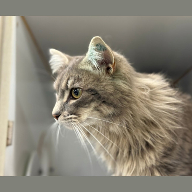 Photo of Larue 