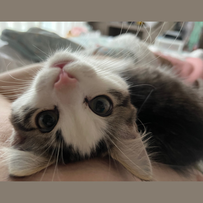 Photo of Bean Sprout