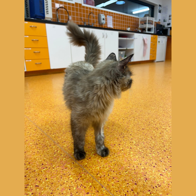 Photo of Nebraska