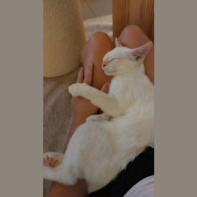 Photo of Lumi