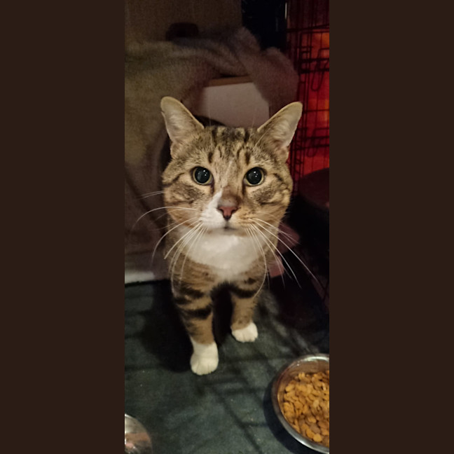 Photo of Teddy