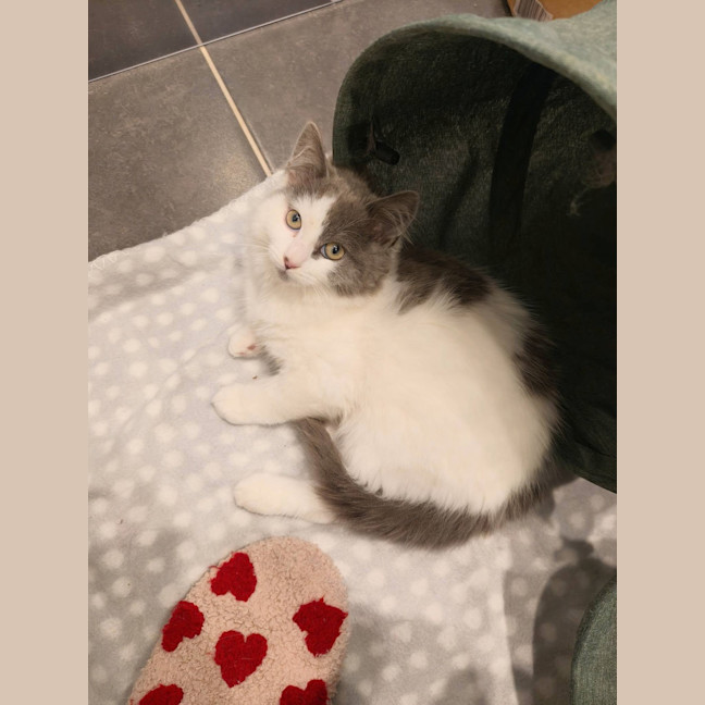 Photo of Bon Bon