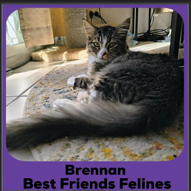 Photo of Brennan 