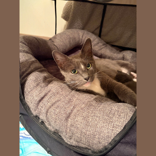 Photo of Pippa