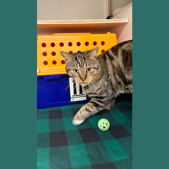 Photo of Percy