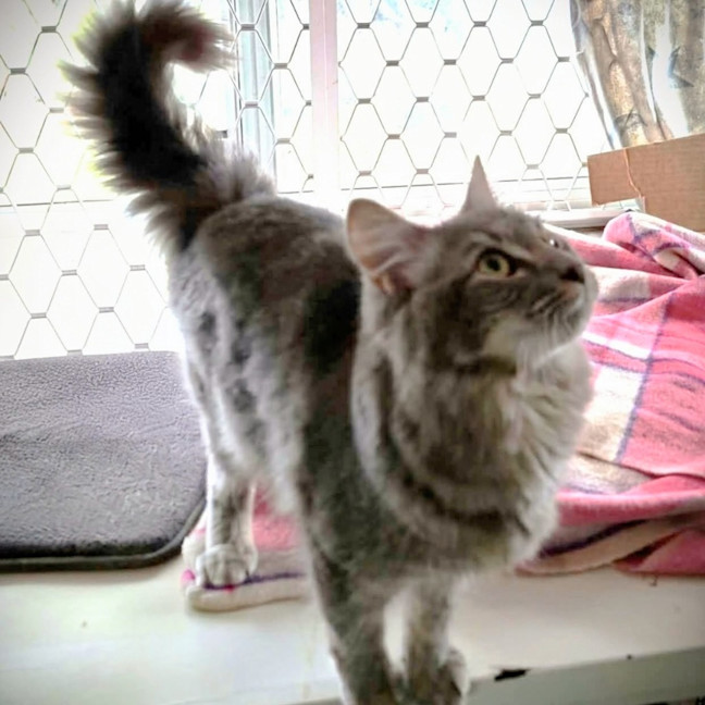 Photo of Jazz