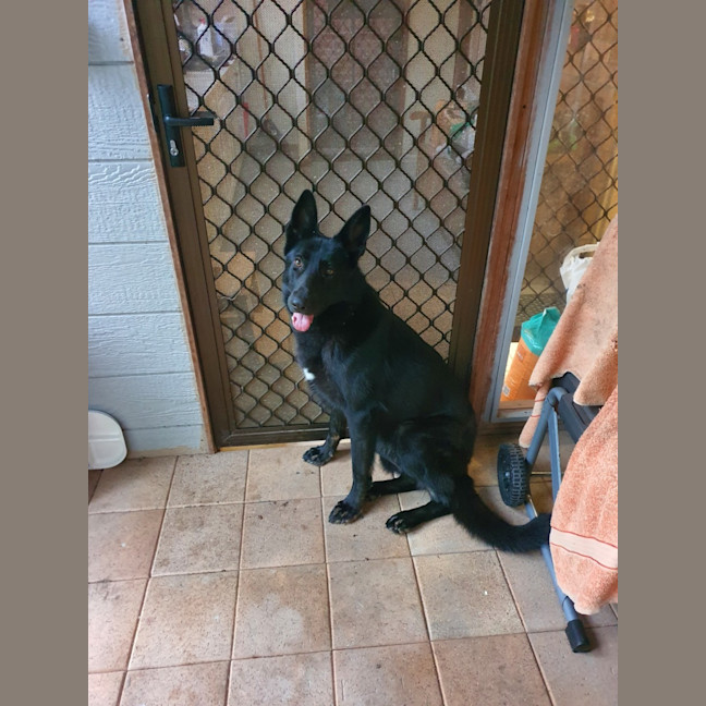 Photo of Luna