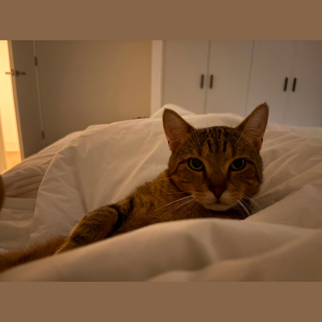 Photo of Thomas