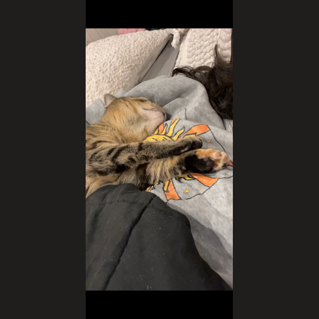 Photo of Patch