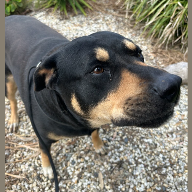 Photo of Lucy