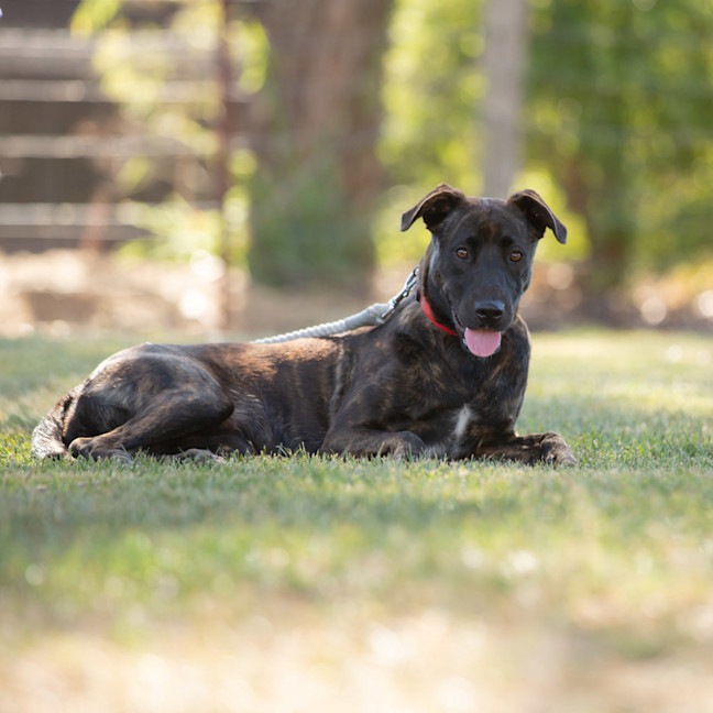 Photo of Hazel