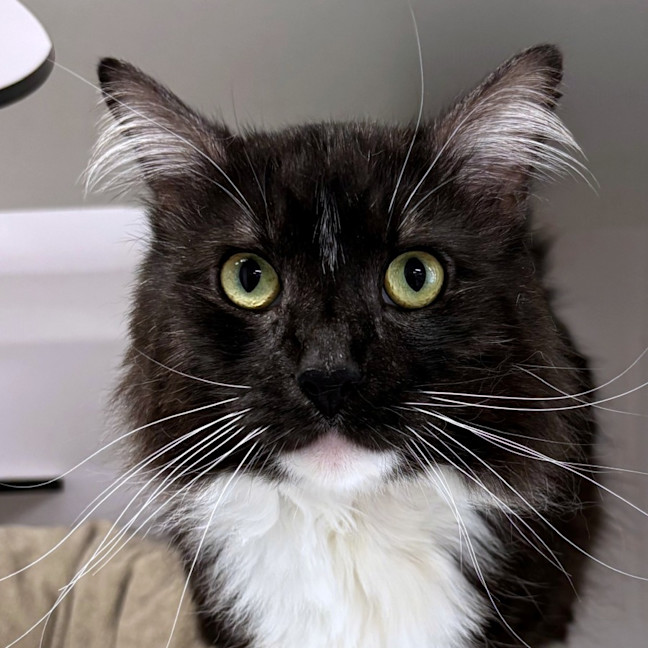 Photo of Max Sua013017