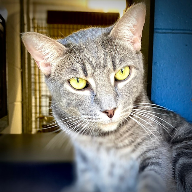 Photo of Timmy