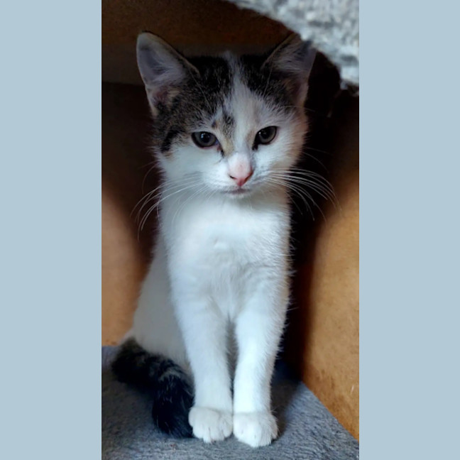 Photo of Kimmie 🌺