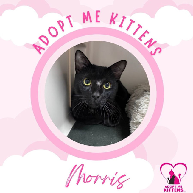 Photo of Morris