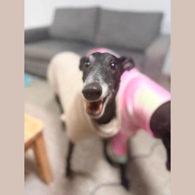 Photo of Tee