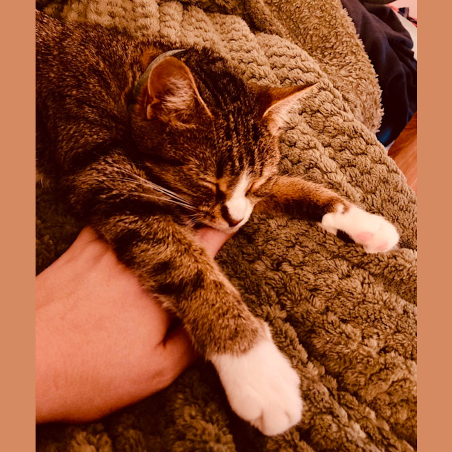 Photo of Kaiya