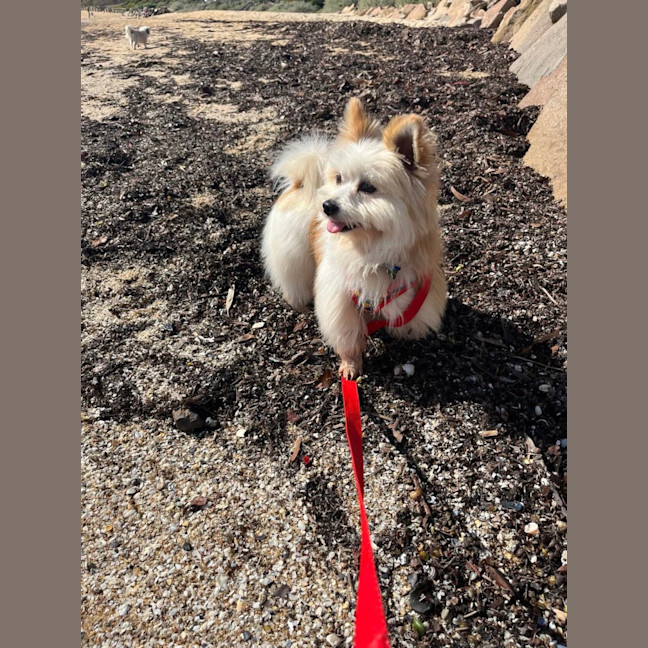 Photo of Bert