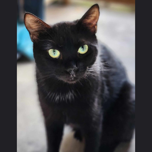 Photo of Bridget
