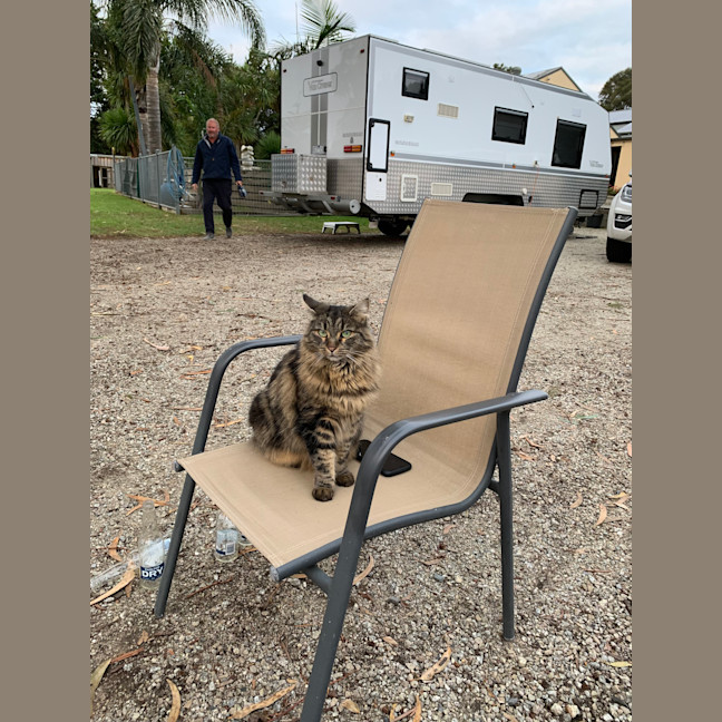 Photo of Hazel