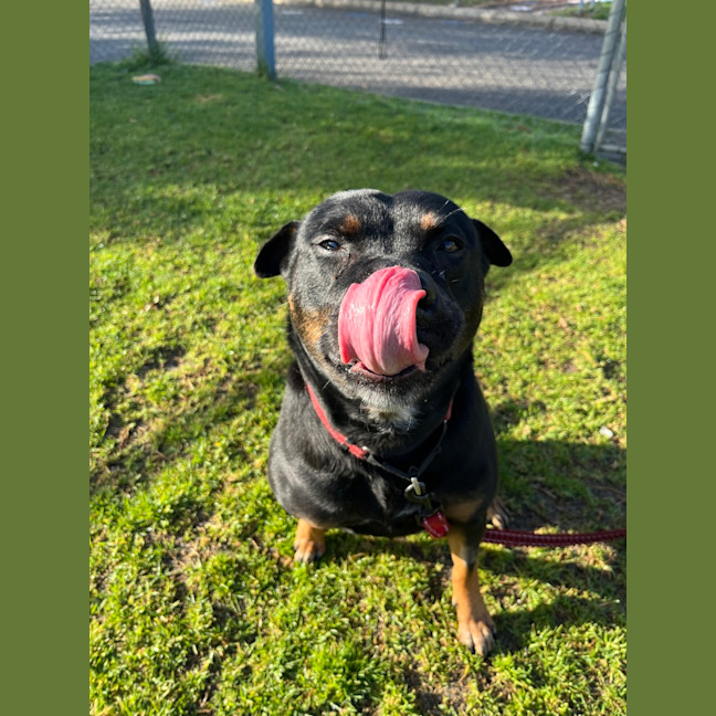 Photo of Miss P