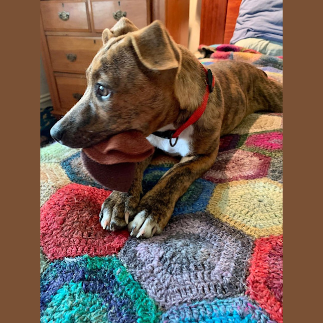 Photo of Candy