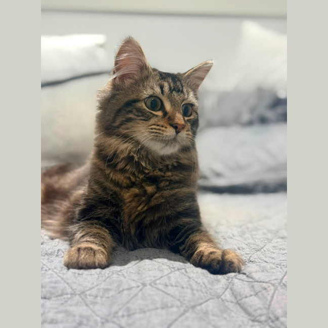 Photo of Goob