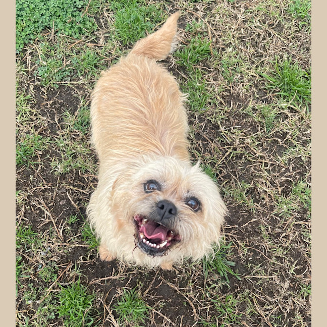 Photo of Izzy