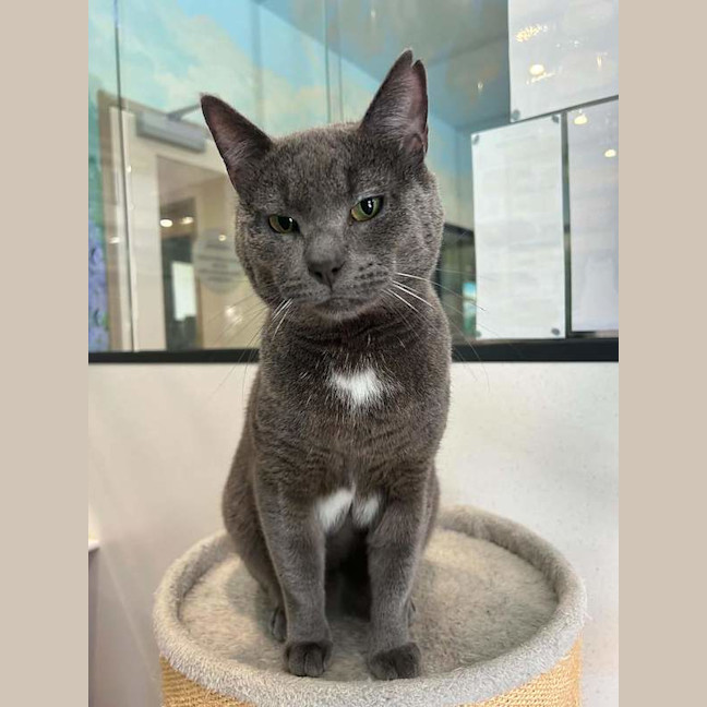 Photo of Sweetie Boy