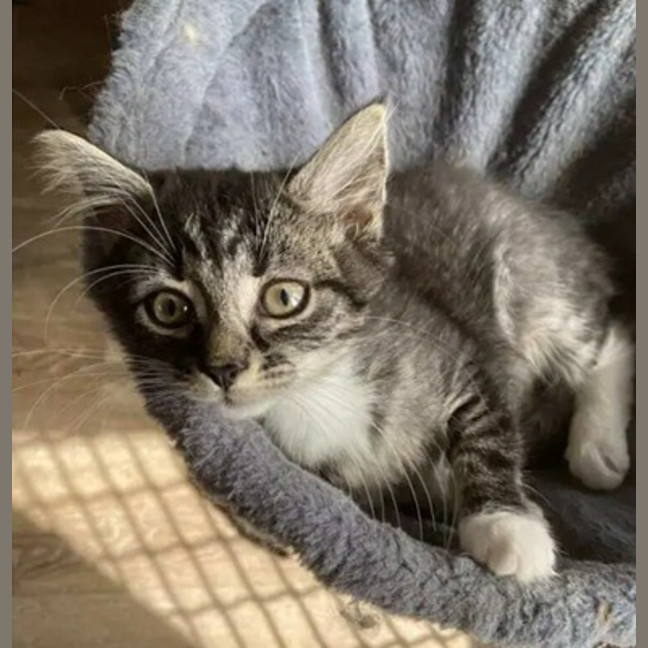 Photo of Jinx
