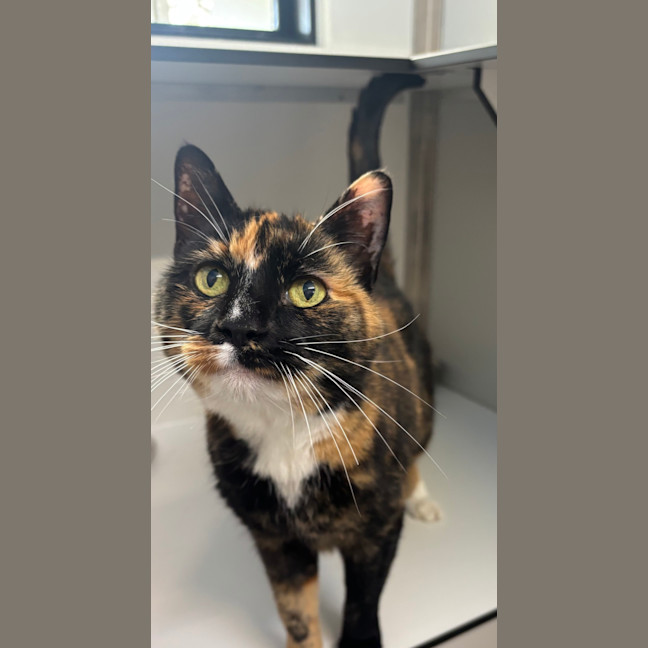 Photo of Mabel