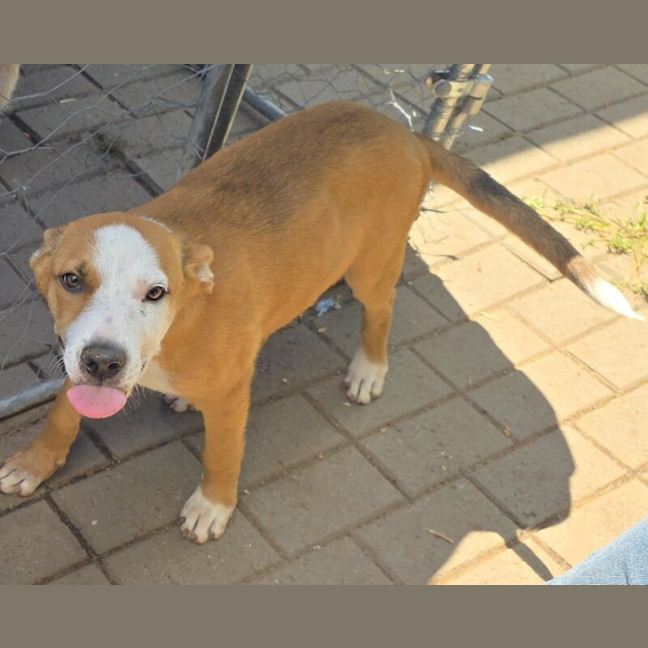 Photo of Shilo