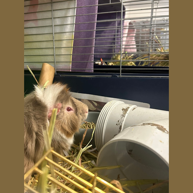 Photo of Eddy