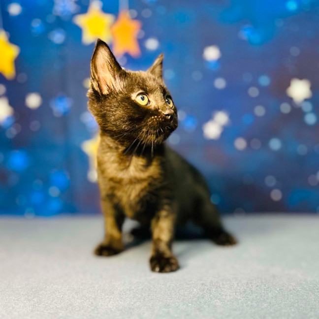 Photo of Barry   Located In Preston 