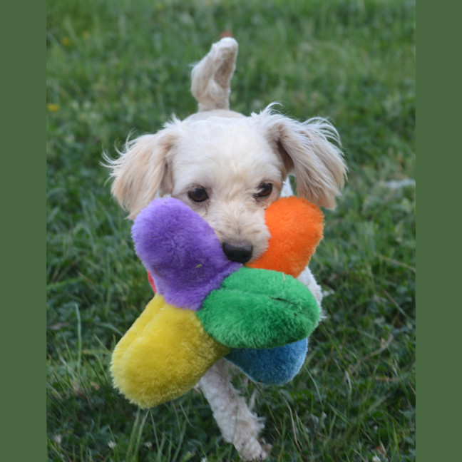 Photo of Simon