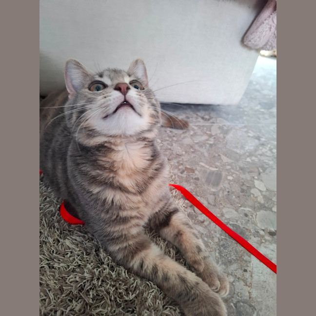 Photo of Smokin 🔥