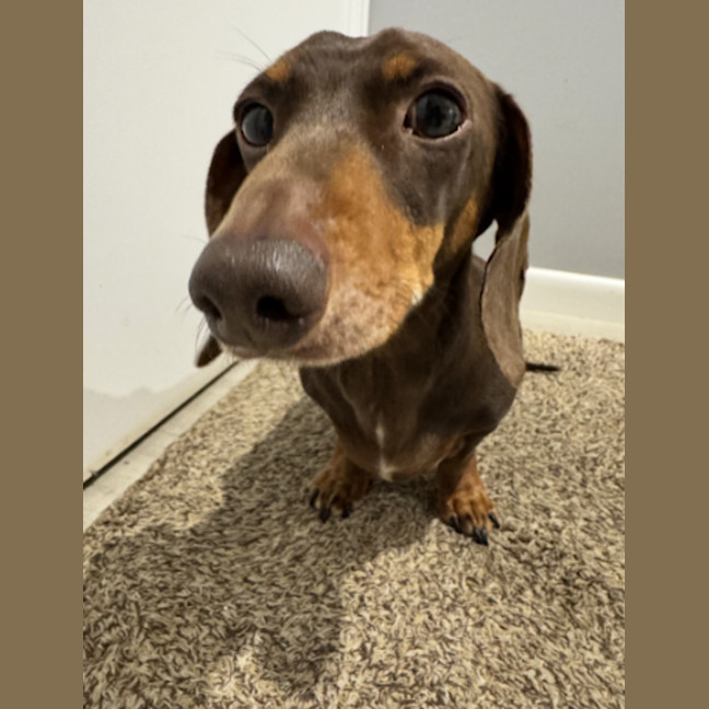 Photo of Douglas (Dougie)